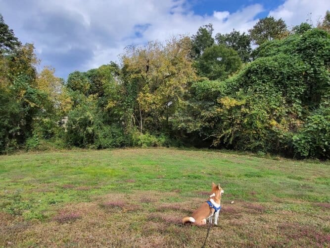 AC9h4nohWI3cc5wOuRAmoDv8v8xxuXlDrIzXoGLa6S3JdZ7EB5KpVJ GxaYcqCGUNHxGV0iM 16loDAOCcsy zIP3D6Ms4ukk4CQcag9w1600 h1000 k no