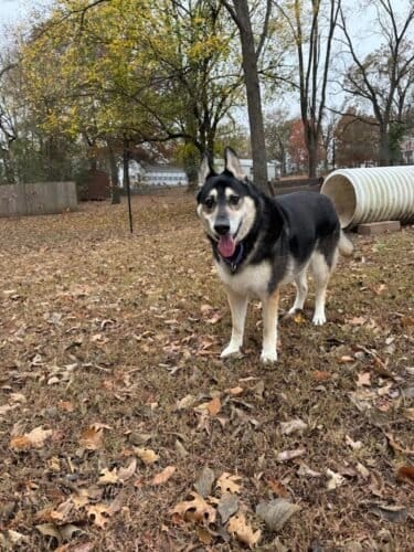 AC9h4nohaLlSbKKnnlK7Vxp3EnnwIAiGek4tzVbCqzXjRpqm1EJ QPMWAcdcVlJtB8s7f2i8I4RmVYFX0RGCB5gaOMyinsTHQ320asyDUCZCB2rtp fkGImWz4WajbvtIDsLFLoSYniW Aw1600 h1000 k no