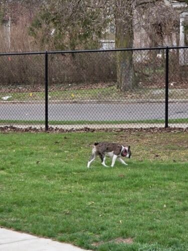 AC9h4nohmBgK9v5e5iUmR5wgMCoztLukysOBgCz05oLuHd1KJ4CIpzNxX uXlJVxKFcs581TH2858qn8zXUykYjBwMCjHuvj1ybGeyF grN2pLjTJSkNs8m44kkxVsIBjtGbypvLuGqrw1600 h1000 k no