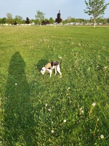 AC9h4noi1kfHiJ01B4wATUlsDhucQbZOw bRFiSiMDj6TLG7Y3BJd2a vHg0G2csFGU Rm2xUmiYUFRfbjjcK tP VDpYLxJWarpsLV6N7jr85sa8cm V5HPqTSrxCP7wSnuTsTdTsow1600 h1000 k no