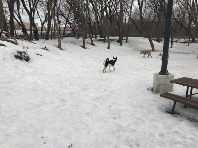 AC9h4noi7SWgCUzFfOBBZjh7qGF2AGViQ2EF7zH00Tis3 7jgl pt7631eSvaqLDwZaSkxg0TH69DpMwzY2aq2T gnJQL1plEZgV5KPepKDdQjaLNNn3Ynvaco3 Jlz3h8KYdt93REpUw1600 h1000 k no