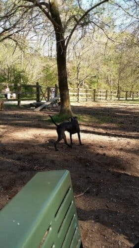 AC9h4noi7kXofq4X4pgwDSPCicKOUUkofKwlDWNpQ UpMa8rdEYsLNw3vhp1GB1iFydBg6fWW1NEE M4a mxD46NhH9b2lBhlW caiZ3jjKje9hn1RFPZcBD3ho1B4vjzRJHMWGc9dl86Aw1600 h1000 k no