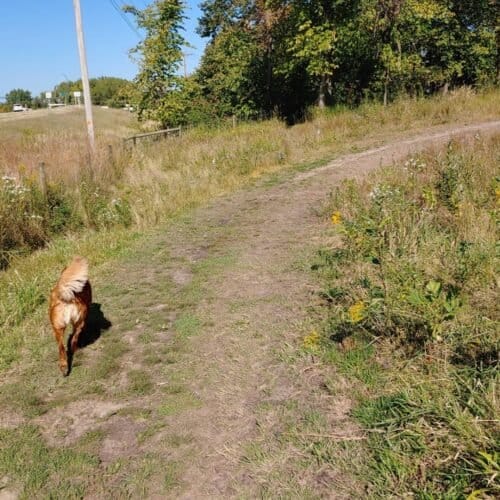 AC9h4noiOGNlSH TxRly6bYmurdzG8foJU1h3PfxUe zRfcumX6rSlSqrfJBLITK7AC LB0dCskqe4WmNOyeahZ2Akxee3zJ OMqW0feMO9IXfew4wr6HN9iGCutiz uUDsjYL8D0o w1600 h1000 k no