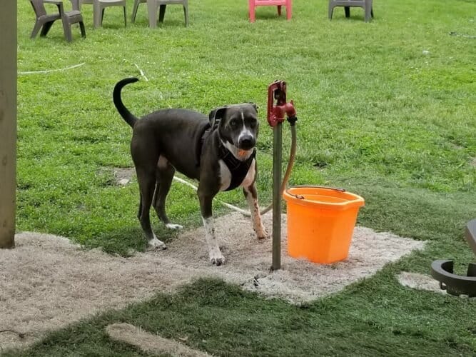 AC9h4noiQIEnO20WXw6EXRpk9C JiLoA4CtVvbX5zMiC1negDKnKM 4SSDgOHP5 RTI8534U 7LheNE5 YQ3wy1OqmDMLv9C7RFWIw5DgVHJhXRBNx450gZFA ycg3o6yg3VM65S7G8o3gw1600 h1000 k no