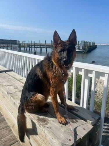 AC9h4noicdLEoJXQlkpR3MFMuUll8ggHXJtM8REh gsSYotlQqniZsIlXwNVgUXqxmzi1Tw22bfICJgpaRKJRFMGx06zXd3ioDJip2yBEXtkDKx R 3wuXCbZQWIqBhg LI1 vaMHSpVxww1600 h1000 k no