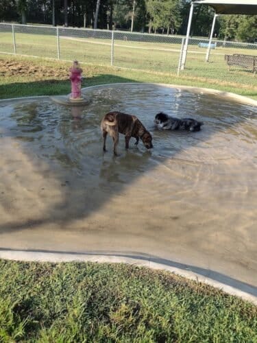 AC9h4noiuyE7bKv5sGmKgtUtJGXHD X 3aGJrVk1xt DoK8iHxTNOalYusDjWxQAY5VtBC6PNVqLnNDDeB3XfPzwguIvZ0mjtB29p5KhsAw1600 h1000 k no