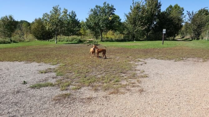 AC9h4noix uZDs61tuSek6HR8uV646u9GpAg75ainL99nI4H47glFhB6dal8jvwa4ArodB7 Nx3KHJyBIQGVPelABVO3O1FMJMZWDrlMg4Bnqe8l5LOfj2YWciXK72nedOqhBf5Iig0w1600 h1000 k no