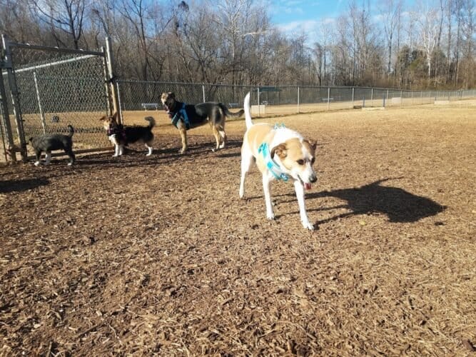 AC9h4noj6ZVkxR0c313eOndl NCcYQ5qeHCwEyUekjQKP3 o89853rXMv1e7ji3GzfDFBP06G id0zY6dHSWKtv8 7cZwPuswVdeynckgDTkFfYDIAr9QhlJfq2dEg7qxf4KcSIOSzgw1600 h1000 k no