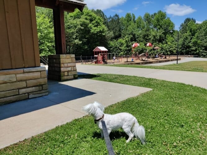 AC9h4noj7EJxQGH c128p5vXhb3 DdrxuN73K I4bPHkbBlszIbnfmfuGup8Y4InkqfANL88xutewu3MbCh sJhrkFFD3 NgnSsx0qIliinifMP3EFqAGbOn4OImghK2cNcGEPDzM6V1Bgw1600 h1000 k no