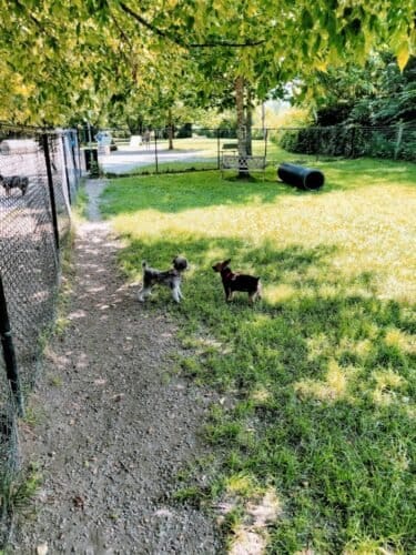 AC9h4nojQBiwHKiI4MPsgdWmdXdVE8ShV3Uvj6njhxx3vBP9xYEZ 96pXo  R0zTg5VJ8MctuofiRSqDte19h7z4aI6cf6yvQCepCU2dT KMfgrsz1qlCycFdUYgLoLQbfk8mBGD7WORw1600 h1000 k no