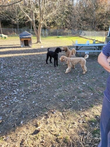 AC9h4nojZtx4c4P3TN bUAg40Ea5pwSQ T27KJLyOc5bpC21eJizINNGqrp 8VeIcpzqSXFI skhajtH4uS629x4V6w80yds0fFv6wqtf6Ivi8HsJTXRpyLE2qUe7Zcb13ehHcbI4MYNtww1600 h1000 k no