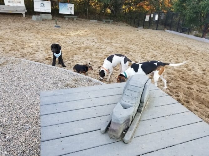 AC9h4nojbNrWVegxTKdAkfWpvGwJVtiBtO488eGaGOoYJQjFAfXvuD5CEcwsRmw8fQtbX IFTw4N0NOksDYxjAMRF0RX 6VHEkKcHDnQscnz24Adbg gVW9r7Py3UR6hb5n6icIHzx0w1600 h1000 k no