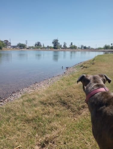 AC9h4nojc8IdaTC4GxNCizTZxAy TMmRSbwOphmKGDIdqpqtT k7x0g6ONbAiCNiuiTGVbC6ZZEtAtI7AF 39TQx9TFUgFTQkX3dvZubA7Go1mi0NVouwiLbH5t2fu2aLP8I4Wl5Fjgw1600 h1000 k no