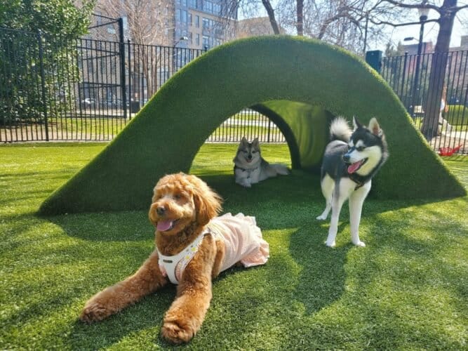 AC9h4nojcydhoINdMX3b6dCAa Mti8wystxScuLfAVJvAWQEa3jGGVknBicDtnQeDT7C1NN2Yo82aGV9JMUNf4OXUkhpy9J2ZU6nWn3x1psKZKziGCZUDztdgjDI7npifk8ZhOdvIuM5w1600 h1000 k no