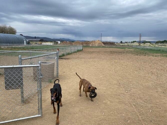 AC9h4nojh5Bxh9bHnQPQhp3HE AO1Gh1Bw10KaJxeaTowvwp3go6zSYTb6oqM1T sG8Ni7pVUDzytvhoBgsHnNYdzcs03l2r 7M KswONDehgW iGQinr2szNHDrCgF4Ewe2v8eJn8ao7Aw1600 h1000 k no