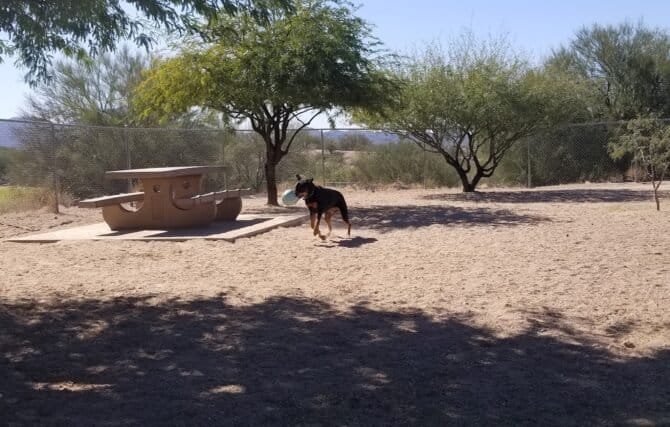 AC9h4nojkjmmKlNv42Pla85z20CQ0qluUX Co FcH25RsK 85WrtZBrCwt5hCR32kPH62YD9kSqsDcf1pdZ8dd3M7NuQbKD t6CVdzq4 AxhhWhTFIeSzIa3OPAfIiRd TxOP BP Vh3dAw1600 h1000 k no