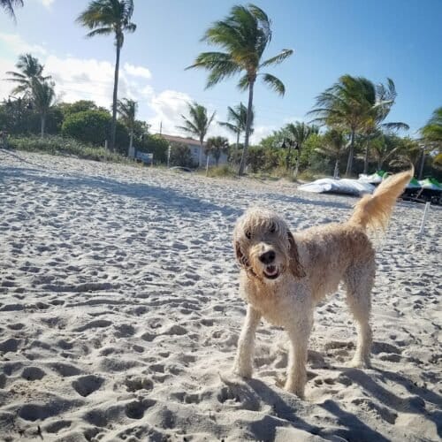 AC9h4nojnlIQTalYnIIuu9J9ro9v0Q9ydBveLiewJf1VZWX52dAexKix5Dv7yax0piCHs myHtvF 10VfW3msroxK8JNy5e3JJV80Fe9dgw1600 h1000 k no