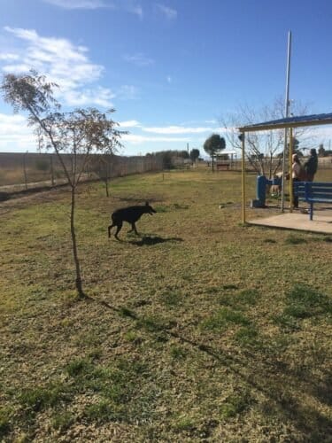 AC9h4nojpZN0zdFFiYV8o7Wow71EJj5lb4BOdPj4bdC3k LjZZYMLzkDDCfJocViPZmNvWan40o OsN KRtRxrCsZB1aFWVzchjAhrrS2 GxWNxzo56gJ4R8ykNiIc84my Qwg3DhPHhw1600 h1000 k no