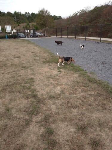 AC9h4nojr7GHCb83MZRC4xvVspyW68qQZor9dLITDqQ E5SqiICJDeAn jFyCWol5m0LSguCtU4SEd0NICo8F8Rl6Uts3bWol v8y4nJqzENLSV UCu2v8TkGkLf614dAzrgo0730E8rw1600 h1000 k no