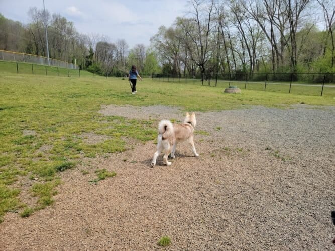 AC9h4nojrqhpQ0Qk71rO5QNedstSgx17w3sm2DedEz8EgogLmXCcie1 kn2PEoAaxrw9vh9JbZkIbUMnoOduG6gIetkbj8 SBL8d7zWyKUv0WYjaAbuipcHie8HLyoFzwlXZO78wo8lj8ww1600 h1000 k no