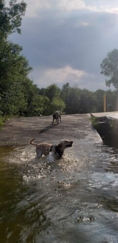 AC9h4nok 0jfwLVIfeIaT6djfTgJ T2X6RE875lRI2swmos8xMAaScngYWMBUzz9egSaM6k nPCM T4cMTps4K6QRe4wMAS0pnaFlmbIwKdpPN D6VHEdO68VoTebrKuYNF5WA 7PsHz Qw1600 h1000 k no