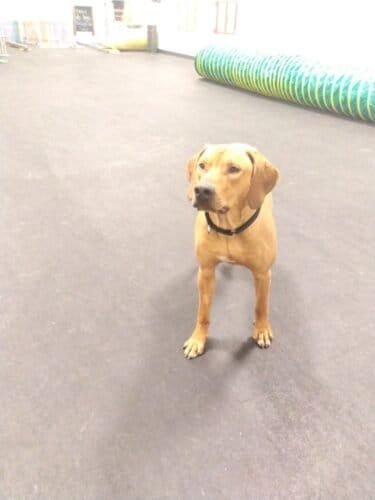 AC9h4nok  1qerhbcG5VqlC9o4WwZcqvhDogPSB8OvVL4iKGORJDb3RAAxS6 r3MrAK3taZQQPIlA8OMbFMi07dTHFz1WqOf5IyLuasIQRWBuCQcgN y xm1bRWBS0xhKwakNLKuu5EZw1600 h1000 k no