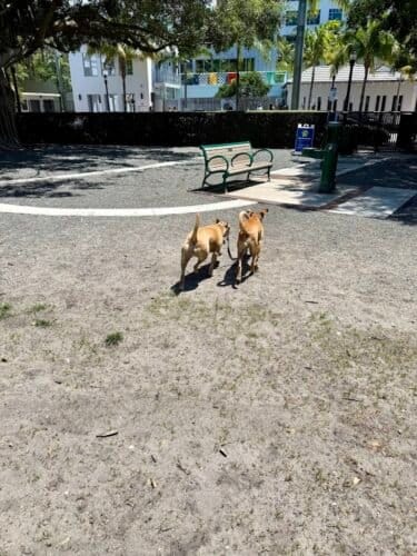 AC9h4nok6hVqCF RmRPo9FFr7BQUKafltbY4lWGlmZubhsU1hpdixuUEAk3ke2iqbbmwwJy0zl3Bx6n8HGw 4hKJRT13Q HGL50eiuNqYu6vvZDTSaIVfykCT7Xz7ATh8EK6P4dV UEP Aw1600 h1000 k no