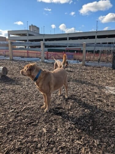 AC9h4nokEUGvfge5BbvkuE7netRalbNAVqpw3uP9GgSBJqFT7iOp4ktt1MlaYRaNBu4tt7qX G77YNOOAMAgbQ6wbu99LS pSn83T2CCqGW9 yomTjZg3WDHrSGRkVm7 N4YNBX86WRzZgw1600 h1000 k no