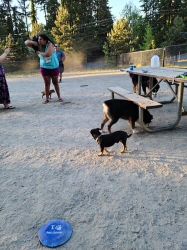 AC9h4nokKwAMWh87lE1x0Wk3zZBbcc1XIpFiRqFGas8dgTNX9d6 oMrFEy1lQMvKoqKFOU1JqNApzAY yO YhARc4CJ osPf0Ln7LYn7UrLoA1oGlcZ7vNhvqx02lNUAPNuHMofWaRm1w1600 h1000 k no