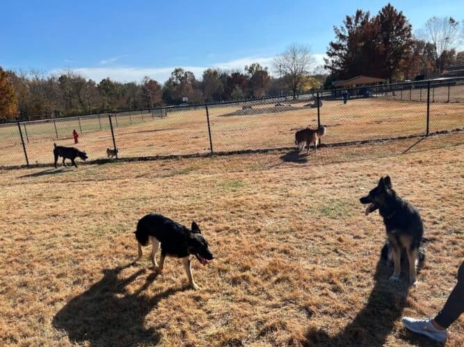 AC9h4nokQI7nE69cYzGoGraB0uG8fxfbhPZ8RoSiP93gZGpDFEI4klEtltnKxLBlKKg3W3zQtxTPnUhvpdlifmmZZZek1WOVrO0DbqdYjRRJN81dtrFgtT pjI8e ZodaQNmbPZvb2pzDgw1600 h1000 k no