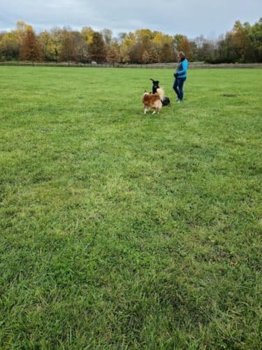 AC9h4nokWb9h0QjL5XlIstkANXEADvZ8E1Nja 2ZPFfCDskxI9Z8cWdw4h5Y 9ywwfnUnz H12d9u4s9ffB7UHm1jucrlxVfrk1o Dl0w1600 h1000 k no