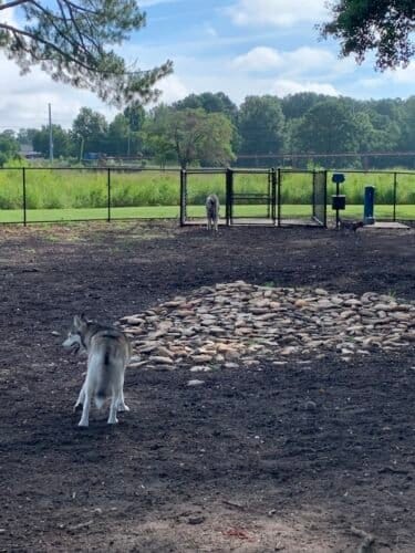 AC9h4nokhwGgt1VDBrtjKcIbe0JVzSCMPYNhaHgN zrZ41OIoQ5vGbS6rNLOGM8LVZ6qF D4IyjKso5GoyGZliDsZkGEdrxMxQ2IQyndpealyavFE65 zWvfpUHIBfUxRehDDL6eCKG7w1600 h1000 k no