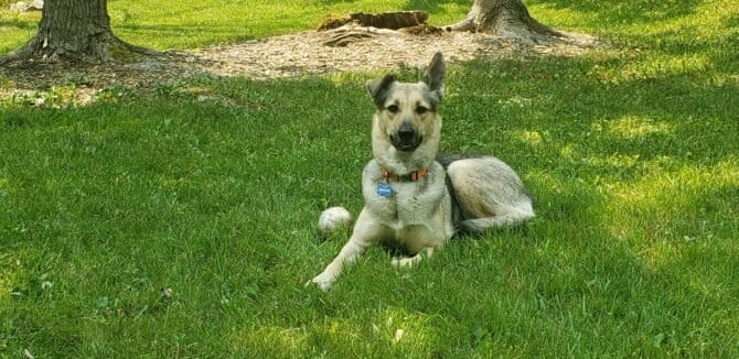 AC9h4nokil2jd3LT10lnQS6TSeQ4u6JEOv3 wiE0q6io1XWX1UR rlW rnu6ZbOAgghGK44Wnao37pOhaG9luE54ltoE0xAUQB6z074DdO7VK9nrXfNlb9uhKl2eUrC6JrOSoxZBa1C7pLvkTc0 w1600 h1000 k no