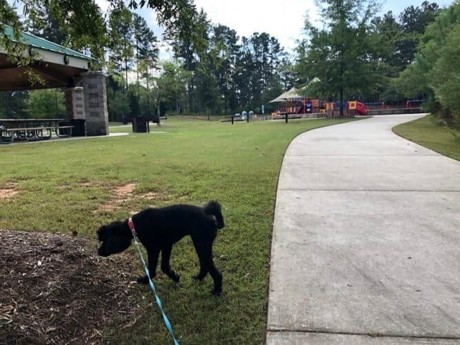 AC9h4nol3RAThpAyZyrF ST acnWdtD9dKtoe9IZaww275timNYrj sjwKNtN3J 7OtVcXvKdTVJb4mEstQ9zTMEJ6Q5Zl6u2NZr6 cWEpOJE0IZsqd1DJuC0tOs Sjk0SdM13NRorn4w1600 h1000 k no