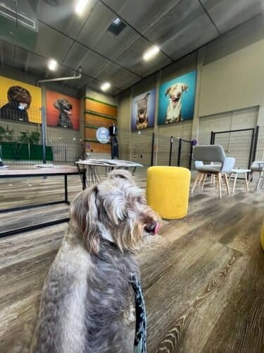 AC9h4nol74AQAwL8JUEhD0SiuCX2jS4uMZzMtKcVhLtBivcTLkckbFR57EX 0F2KPbKKsvtOhzZlIYEKlJZMAjAzFRHsj5sI64J8DkA9N403HOg47pD7egNRyhCkND4JwEBCVaCB8HSAuww1600 h1000 k no