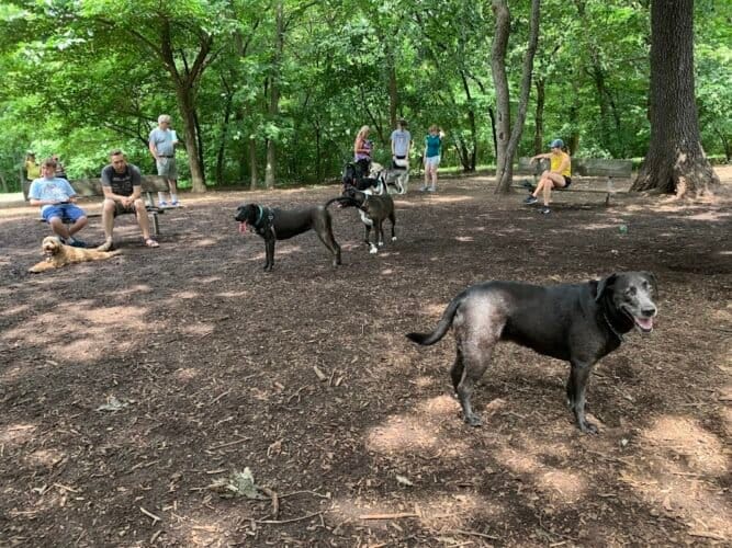 AC9h4nolIsYwtYeO00g QGj7zdpTur2dHcpJP0kUWguPs3sbdbwJMX4CUZsFwJE7X A DNdlEI0q38BiUHQNBM5Er9s1Wi2A9lwSZrUcV3EJyNaI0vw0MxwNj2wVjHZK1YgVRVbWHrwcw1600 h1000 k no