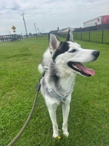 AC9h4nolK2XsTMXIGaE5VKDLlyp3EREL9r3ddCyxFkW z07URi D B4aIeQ12oGskC2N9rt8z9p3Mk4sAnvVd 3nTzo6Wtkxhm2 l0tUebVnYxGbI1yat3CQxZUWZCxX6MvzDpDUaWILaRuUMIKPw1600 h1000 k no