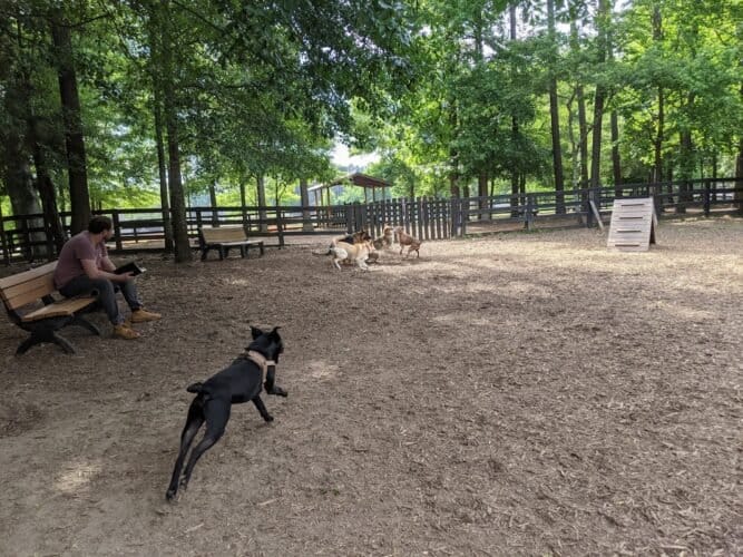 AC9h4nolbvKyq17QRuW0PU8d91SOOg0TnueIPth7dy SvXOZHAkD6fIll B0QPtw0XW7ctdfOWoQT0USKaWtZOy8OiDygnDpV5GY Wsc1cqeyiFjIID0BnIa3T6CyaE19htJ8 n9WkHKw1600 h1000 k no