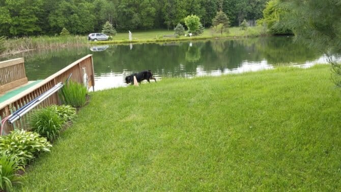 AC9h4nolu7Vgrhc38FhJ3QpU0MFNhI5IKqsgSpVDrj 6KHilSFuL j92YIb1Gy4H8XqsLIKaTr0wkwDXnvyJrs5Hc4kCX0XfKpNRqgmUYwQdEHNgKwaD Log3GJvhNixxw2nPfPcKKUw1600 h1000 k no