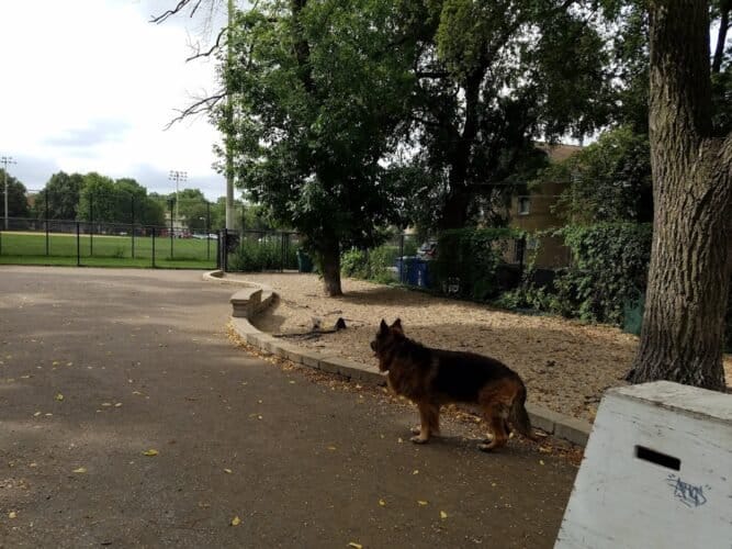 AC9h4nolv KO u6wptMMwbnaMsbsoZ66NjFlzgMA9DRLPviUbkuy13rHSv58IjMTN1VADmUNAUB32dHBA5AIzsD78Rsg2HpDhIHytB1bNBBFuBBKrYoptF99UXicabyJp yD4EazD aJjQw1600 h1000 k no