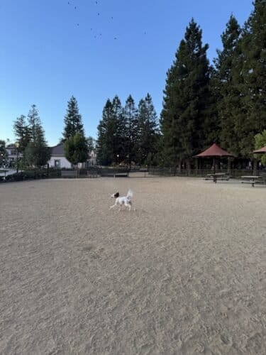 AC9h4nomEH19vlCoDkTs1uHYs7s3GprRYcR2MFCbpr4DRt9DVLkAp0sUf4komG741JWuetz3yll4HK owG9iMA1rpRVvfl2qzhDX1ndR40KJ4dDzKrjVIZQRV4sTx4nO3ep2Bp n1L0Zw1600 h1000 k no