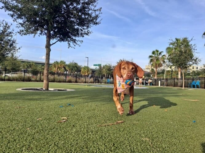 AC9h4nomRK0bvYqM3wzr dEUdnvs9bu3P1KvB7HFedrPabSNABsLt3MHCWdMXzPefzgnz0iLaDseGM0BotWClNEiMcssrguCEyTaMR0GFdOAE1Hp88rJ4Ak6FASeG3v2Ggi1RAbvwFcw1600 h1000 k no