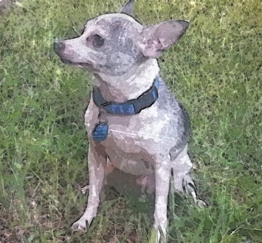 AC9h4nombGlZp R0Tg5 zRgG4DLhEGY39KPAH7SwlursGSLbfgH7hq6jFDAyZAvmVpGMvgK6h XupQjdsBDzKKmWuE7D6HNAq1zWw1ZVwQQPrUAmhBtobubkpw2cRVdd9mmXSh6B7ZHww1600 h1000 k no