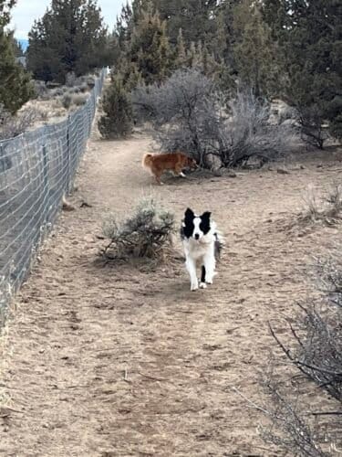 AC9h4nomjt3OiNudRteDvSwSRNKQp3RgYA Qrl5sixNhPMWx3ygff4Wv4JHEx2QQAVjvN4dB3FiEXB1Azl inS8pcjxlFbVakhj4Up jeYCnlSlujc6MgSDf8v3ZoQRnaXKxa6fP TKGw1600 h1000 k no