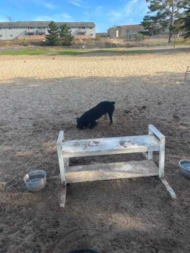 AC9h4nomoHMp5MUCiZ6CUwPDvmhbay6qKfVqt oXuI2dLVzhlDfGa cZNfs7lxjcDRn Ox Rglzl17mWk2p0k4gJovhO gLzCHFHGnBQ1yC9uMbT4OfZy0DJtWhWSS0UD9hBWe 3ipTXw1600 h1000 k no