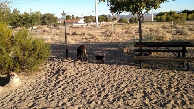 AC9h4nomvkvI0IDFLdM8 iqj1p8qXsr9zaoLncyIg VoCJkHusvJZIu5O4AZ AXOZxwvPL7HtGyeH6f9Caz7gB9kY2ymXWnqbn42ANgZc8uED1sD1nSBKjE KACD7gNbUEEw7SurVWE7xww1600 h1000 k no