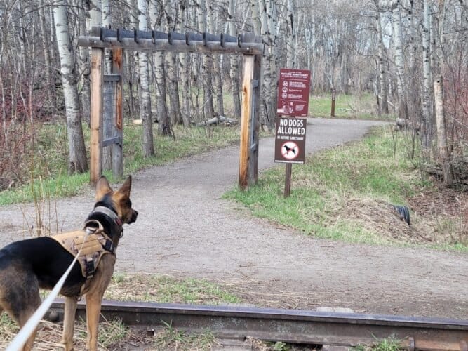 AC9h4non5bozTROf5mzlpbfQAOq Fwy1WtnZf5KXr11GE21iNfu6NvWyp3E2t7FfSiFCLGuiWi9lZn4Ita6LPQOjOQYPF2lEQqia1KeOoMhPh27mur0zG2IAcoEPuZDwraP0s0z32ZAw1600 h1000 k no