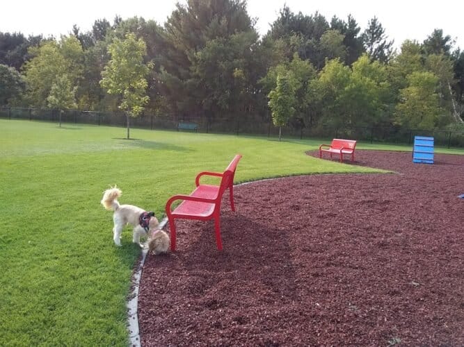 AC9h4nonB UQ4QqRZSbreVb9n6lzCAyO90nJ odpVtDuw23jHHn hjVlAa8CjXT973OTe FSFfLxrEo6iqUYNZDzorAofQqd9Y6NW IjJww1600 h1000 k no