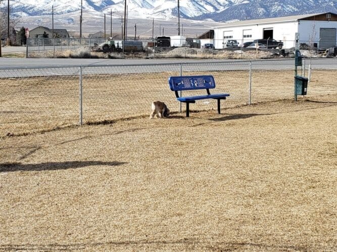 AC9h4nonBODJHC4Cxjc1RRGcLKpK1HCXgcTR7MmT0IE587 DvNd69EfPw7CYpWENfA8BCl6eo0035K7QHesip9KmeU4wq8eNbVzgHXnwBPGr54uBhpTlLxwlhXk0gP0W5K9kQEaFKsWfw1600 h1000 k no