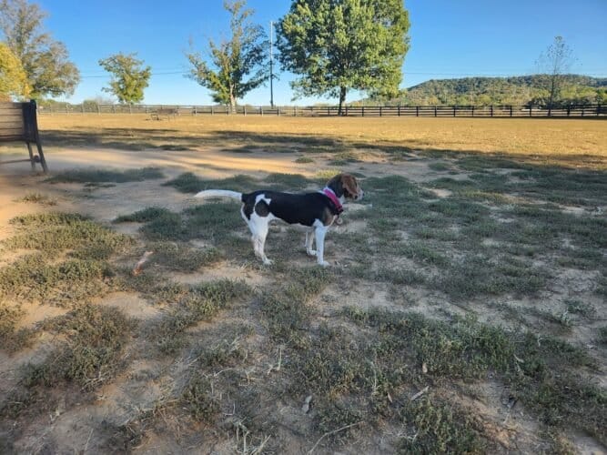 AC9h4nonETN6ywMjF2o1eqJSqNAN8DB RArYgFK1PiOmw5ZJ6bRit2jbcoAOLWJWXk62xYsQdahDlZTVPUFygjQvHLvRaHkdZtfE7UpJRzUesMhmonDmuR7zuYAnxXsuKM5sZvxTyWOLw1600 h1000 k no